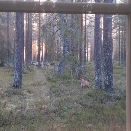 Apartamento Yllaes Nilimaja Ylläsjärvi Exterior foto