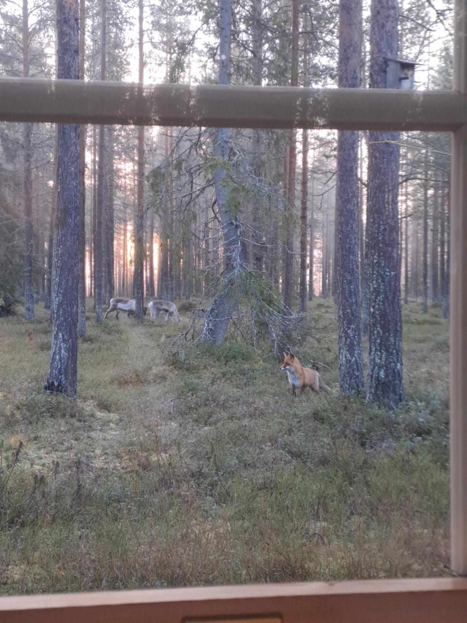 Apartamento Yllaes Nilimaja Ylläsjärvi Exterior foto
